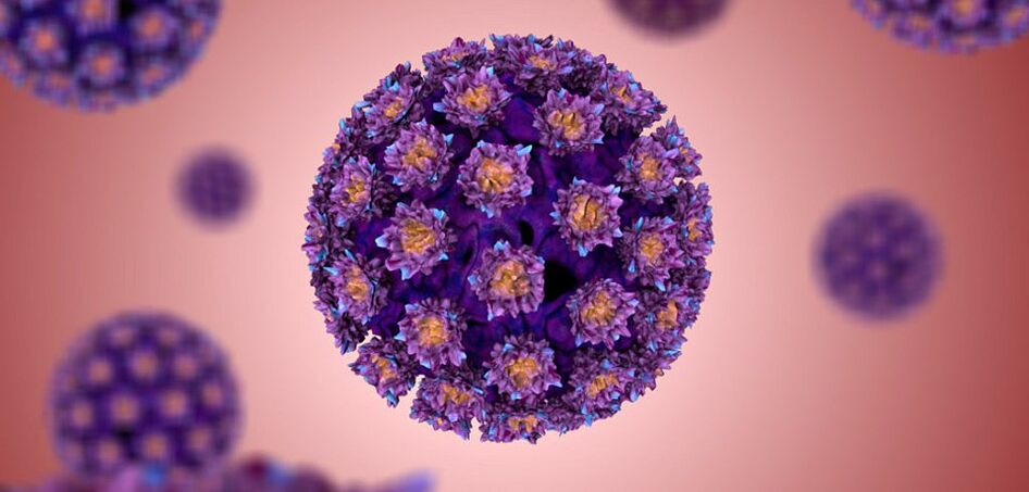 πώς μοιάζει ο ιός του ανθρώπινου θηλώματος